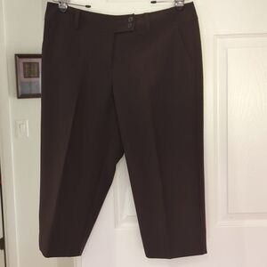 EUC WORTHINGTON PETITE BROWN MODERN FIT CAPRIS SIZE 14P